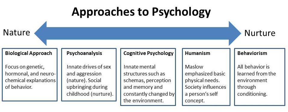 nature nurture psychology