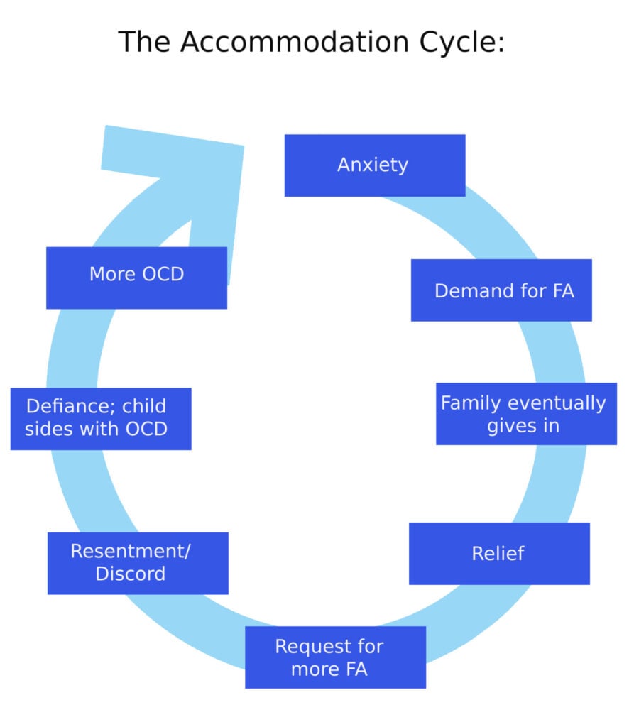 accommodation cycle