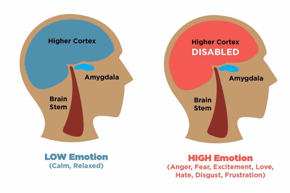 Amygdala hijack