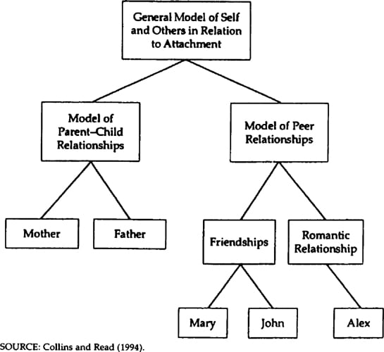 attachment hierarchical structure