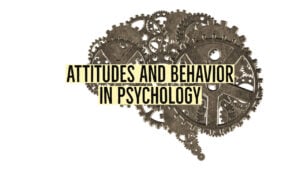 attitudes and behavior 1
