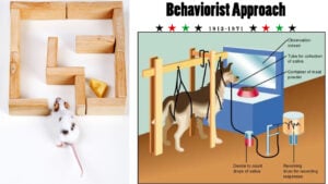 behaviorist approach