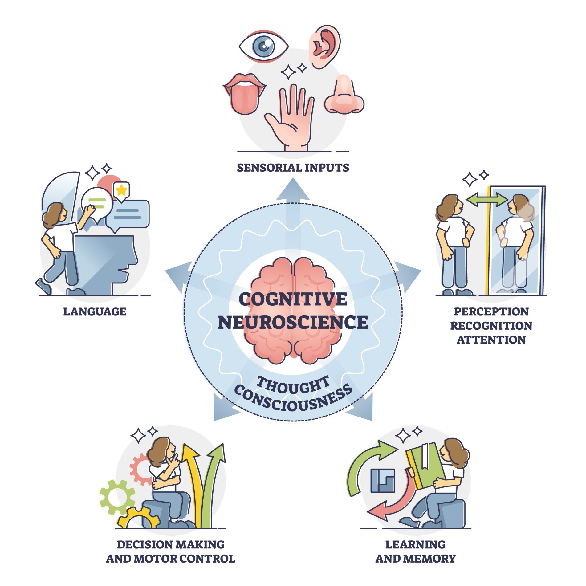 Cognitive neuroscience and thought consciousness processes, outline diagram. Sensory input, language, decision making and motor control, learning and memory, self perception, recognition and attention