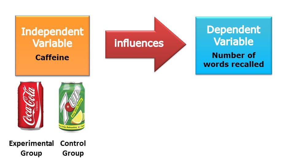 control group experimental group