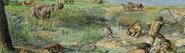 the environment of evolutionary adaptation