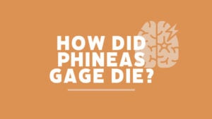 How Did Phineas Gage Die 1