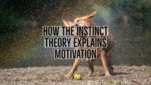 how the instinct theory explains motivation 1