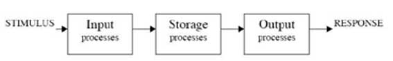 information processing approach