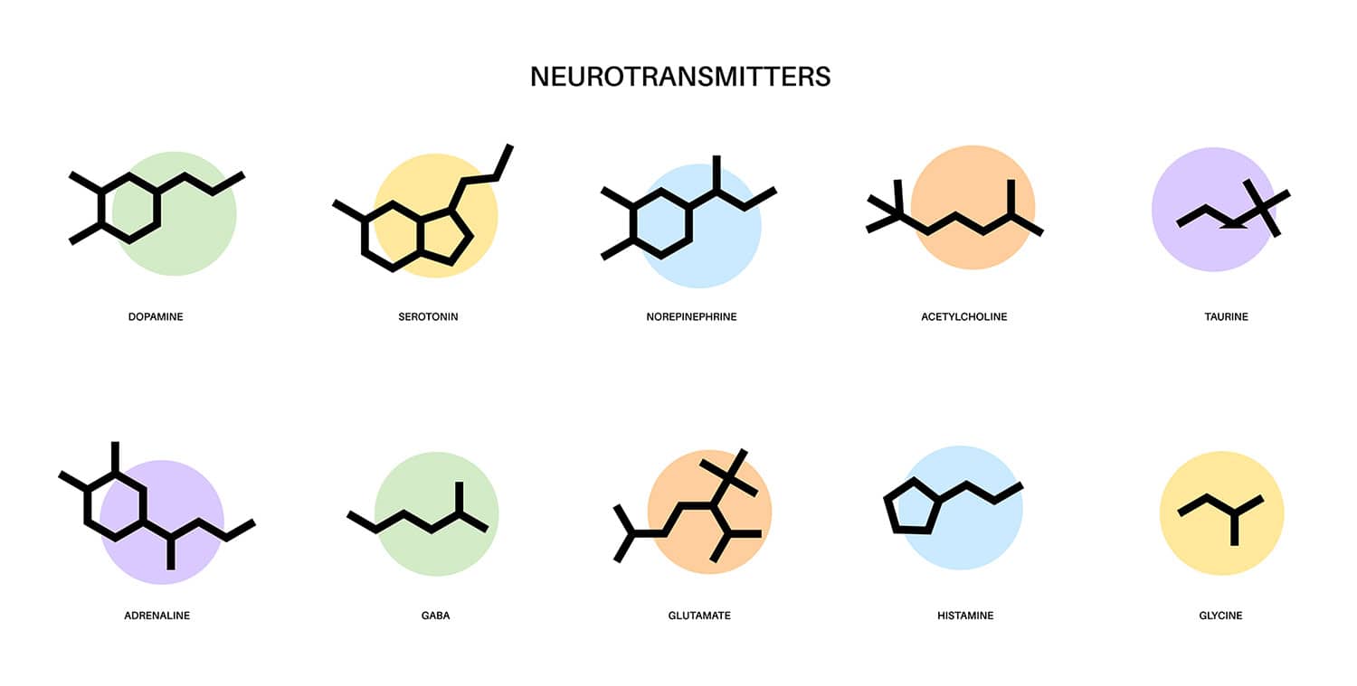 Chemical formulas of neurotransmitters