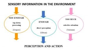 Perception theories