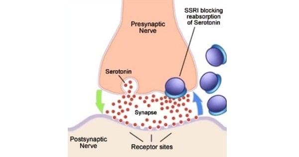 SSRIs work by blocking the re-uptake of serotonin into the presynaptic neuron