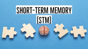 short term memory 1