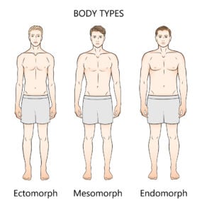 Human body types. Three figures. Forms: ectomorph, mesomorph and endomorph.