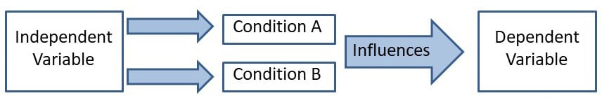 variables2