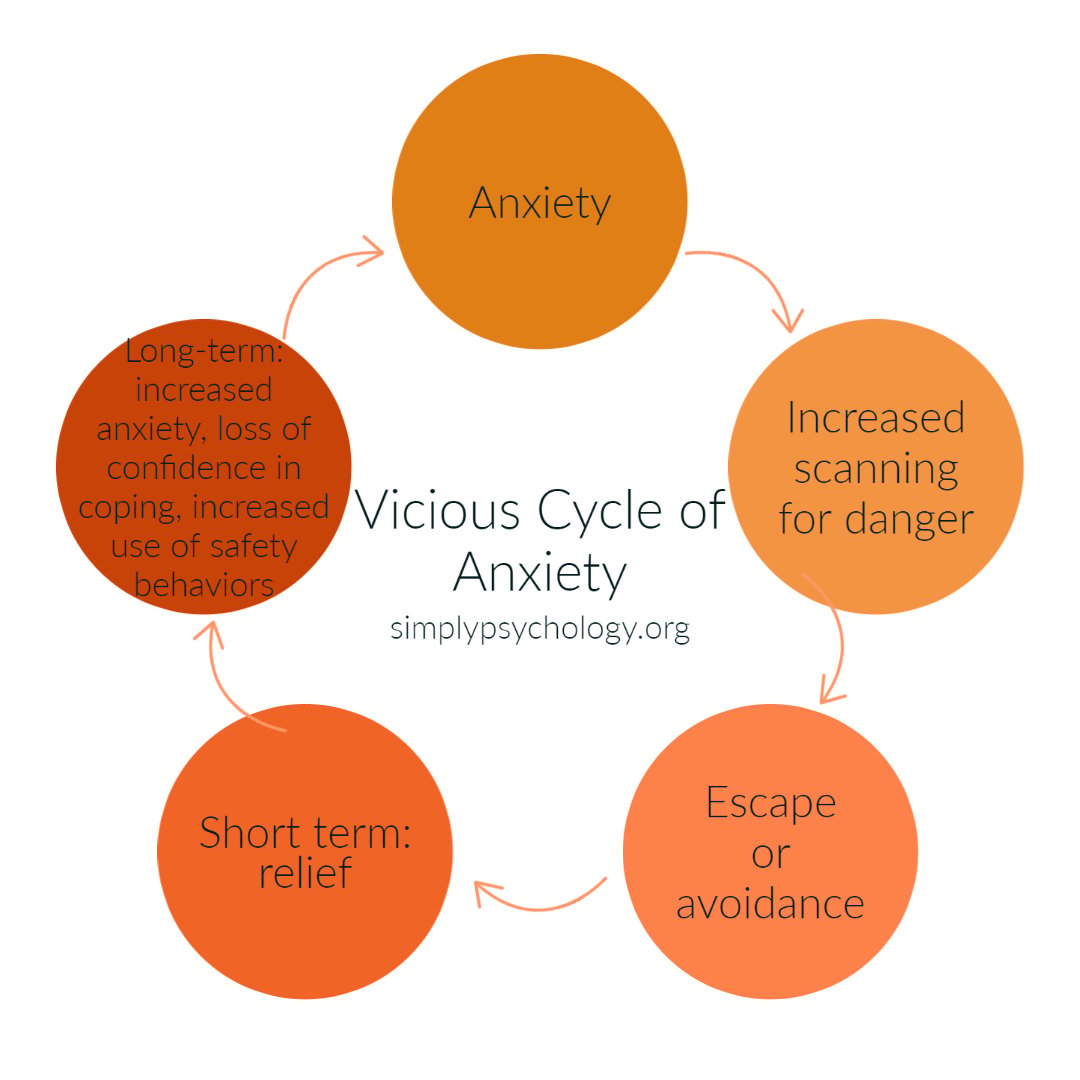 the vicious cycle of anxiety