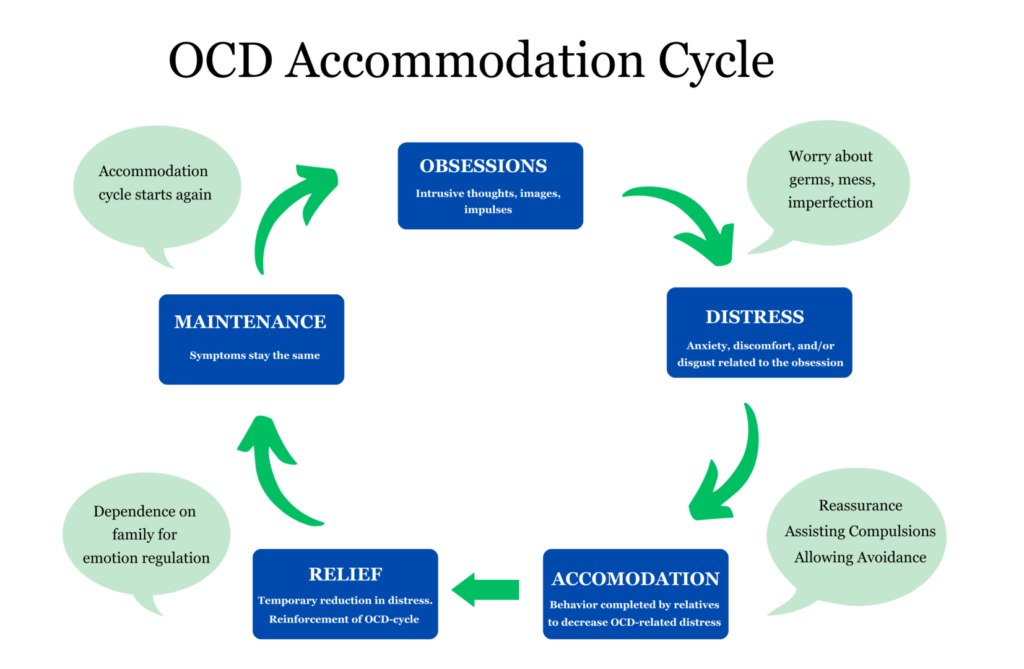 ocd accomodation cycle e1696878743272