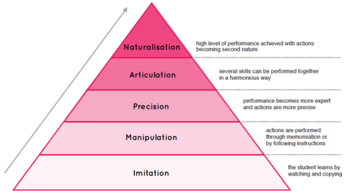 psychomotor domain of learning and objectives